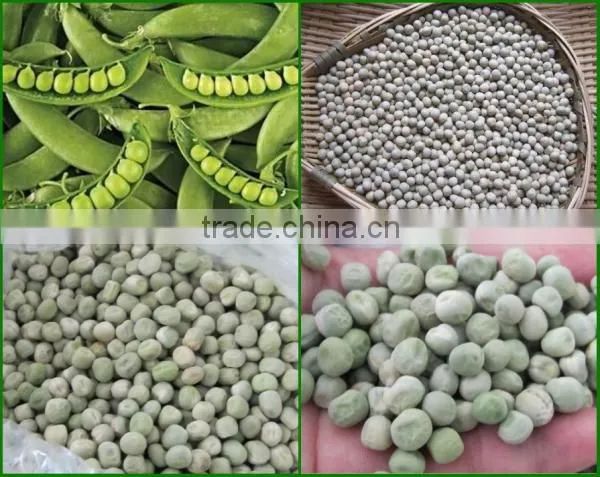 New Crop Hot Sale dry Green Pea