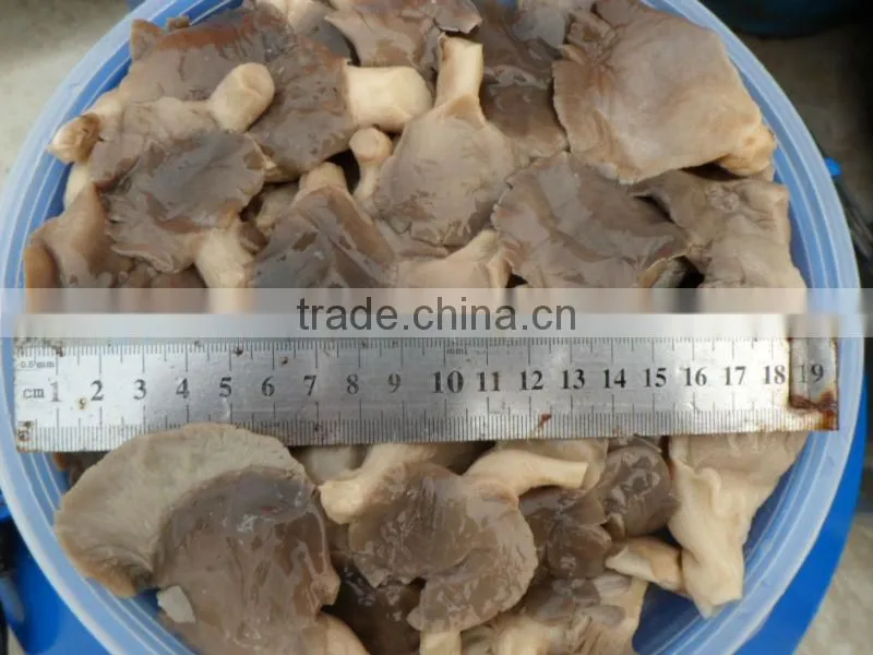 market price of preserved oyster mushroom in brined in 50kg drum