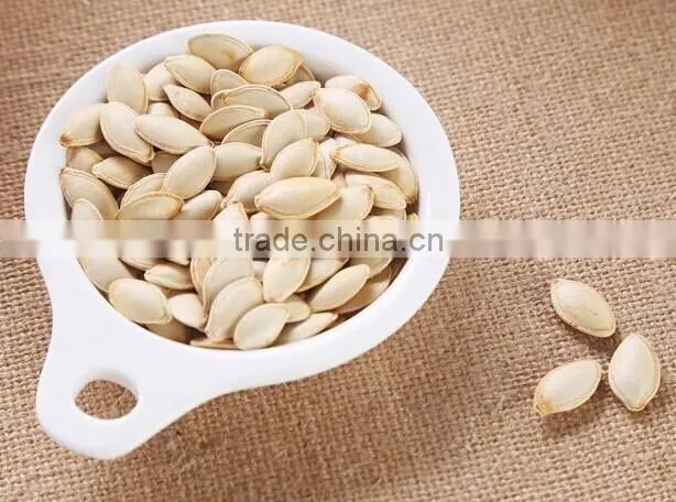 export shine skin pumpkin seeds 2015 new crop
