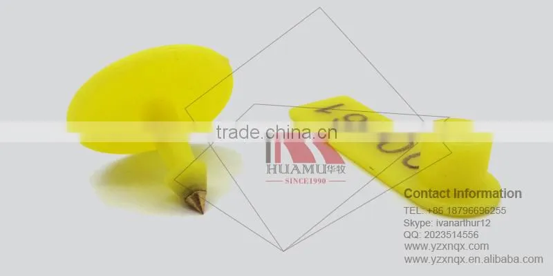ear tag for swine with metal pin and TPU in yellow 50*16 mm