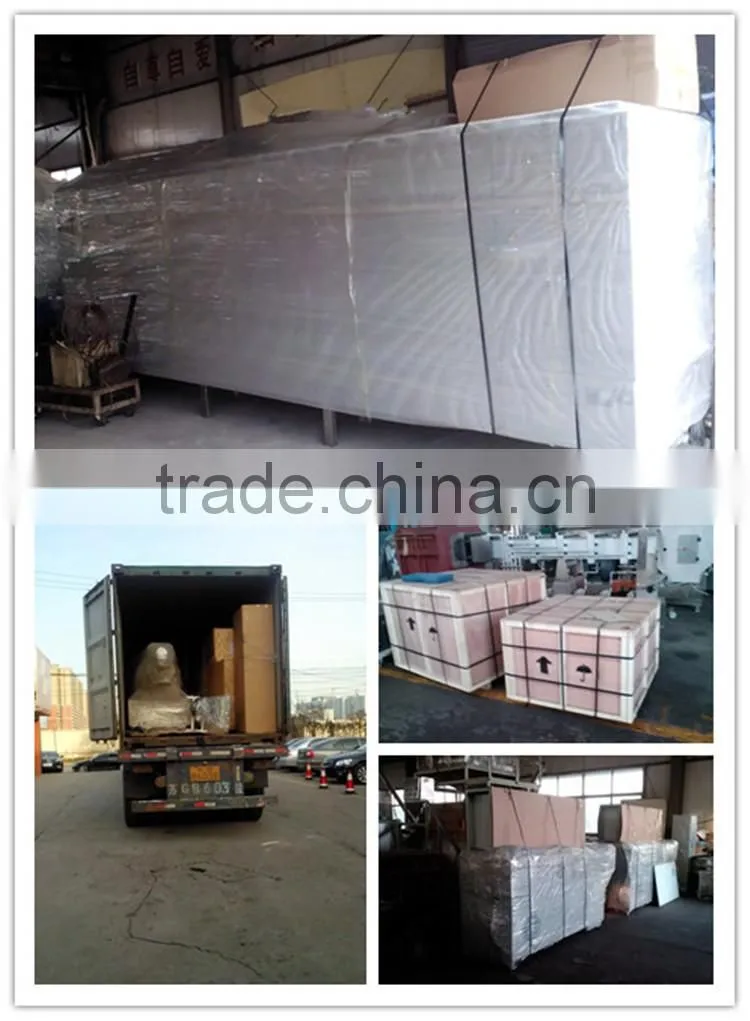 CE ISO new pet food production line dog food production line