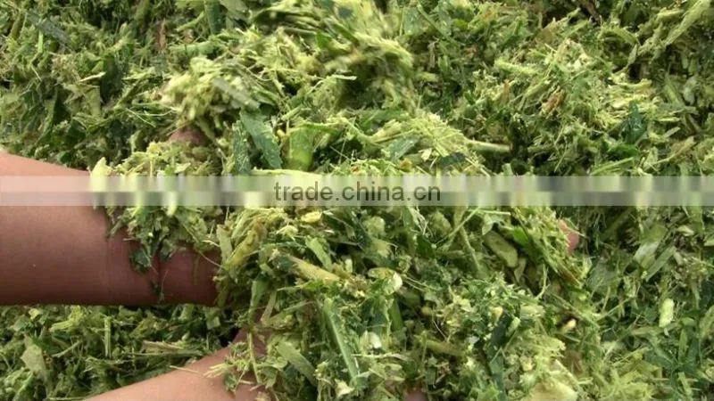 SQZ-3000 corn silage harvester corn forage harvester