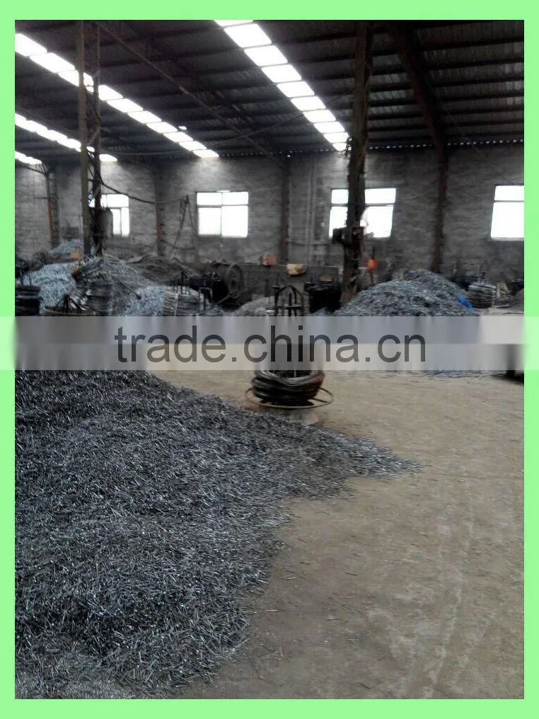 china factory common wire nail products