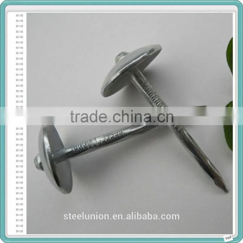 BWG9X2.5" Umbrella Head Roofing Nail Factory
