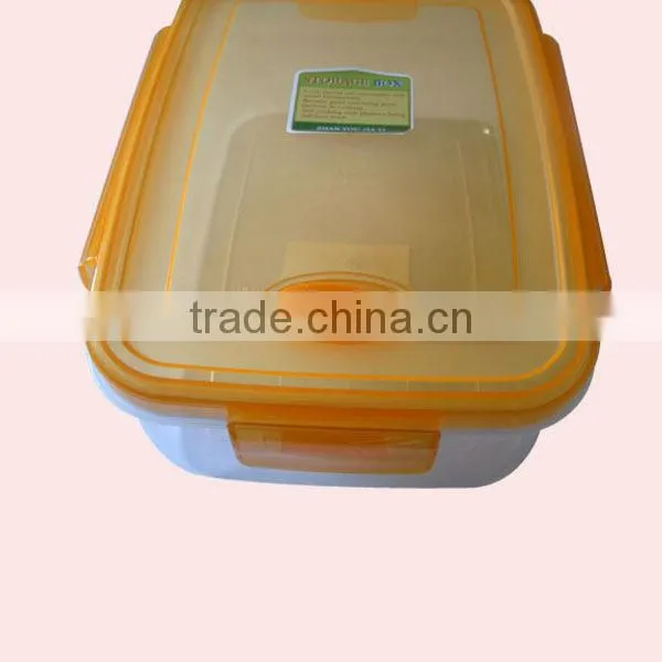 Plastic Hot Food Storage