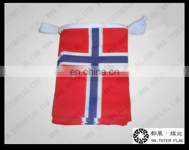 Norway Bunting Flag / Norway Flag For National Day Celebration