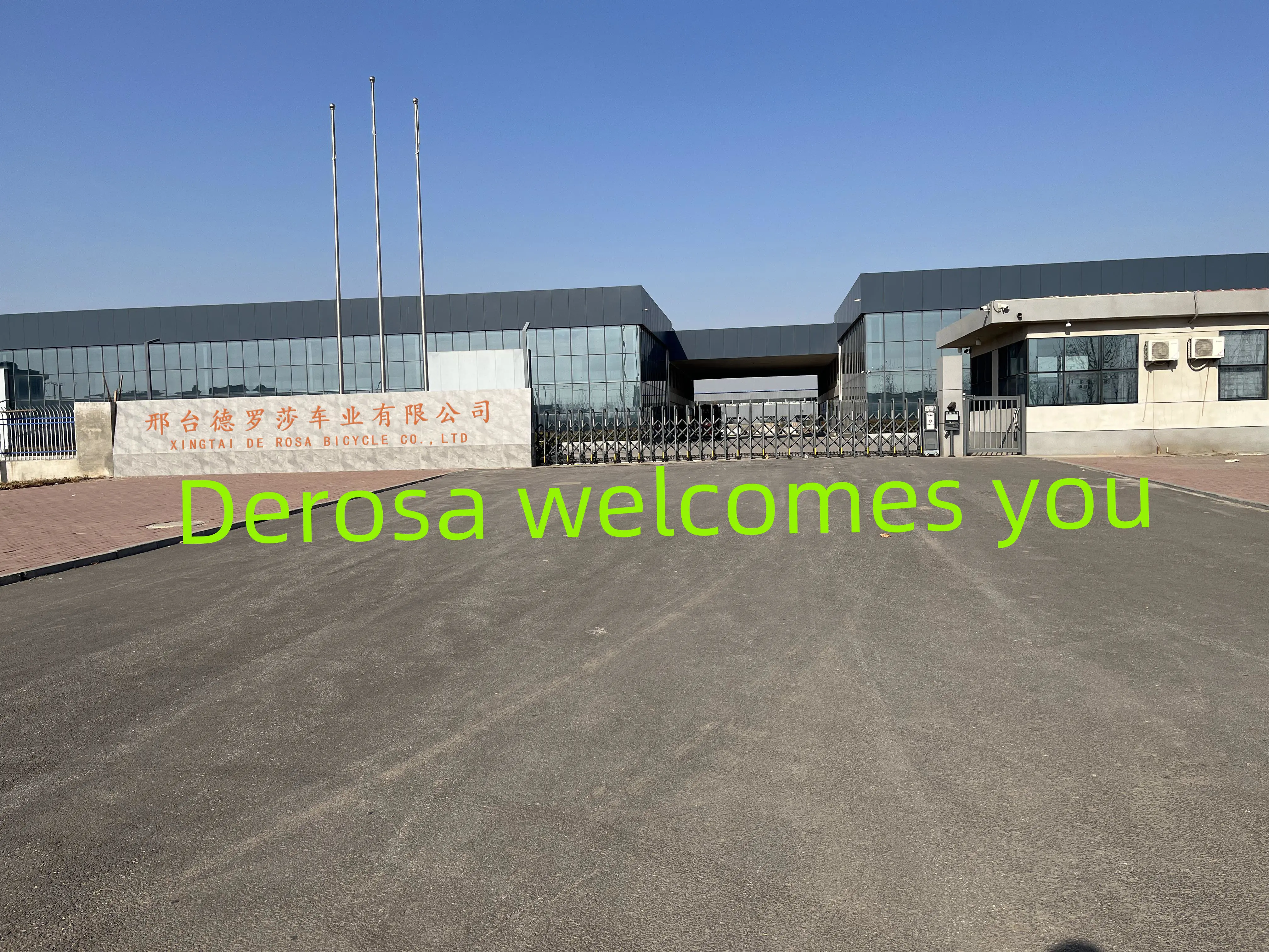 Xingtai De Rosa Bicycle Co.,ltd. company overview - view 1