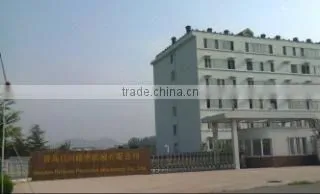 Qingdao Richuan Precision Machinery Co., Ltd. company overview - view 1
