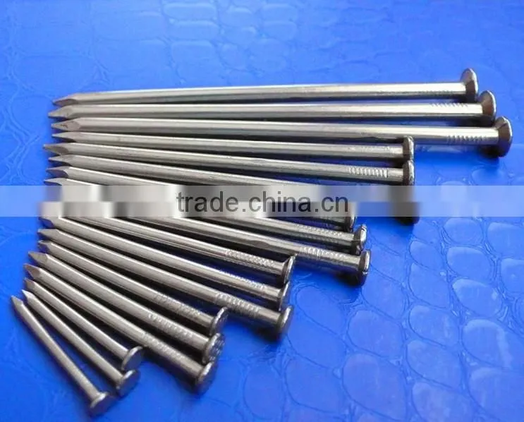 common wire nail