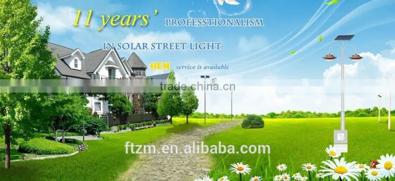 professional customized lamp pole for electrical/solar street light