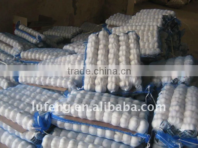 New Crop China Shandong Fresh Garlic ---Normal White and Pure White Garlic
