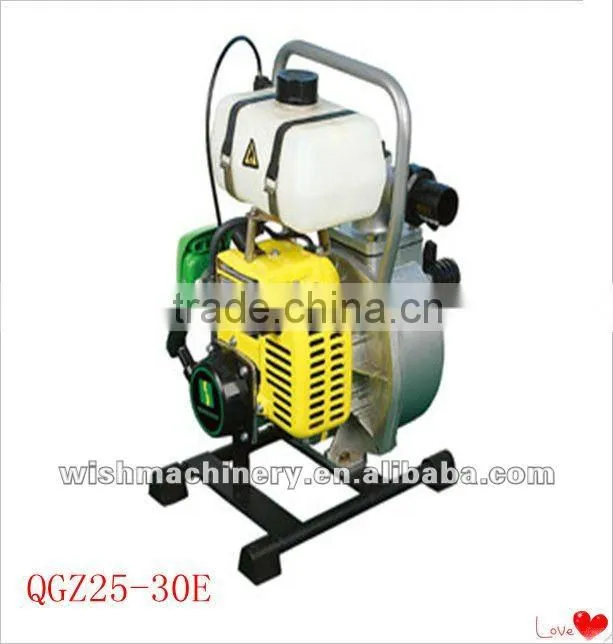 Electric garden hand Sprayer