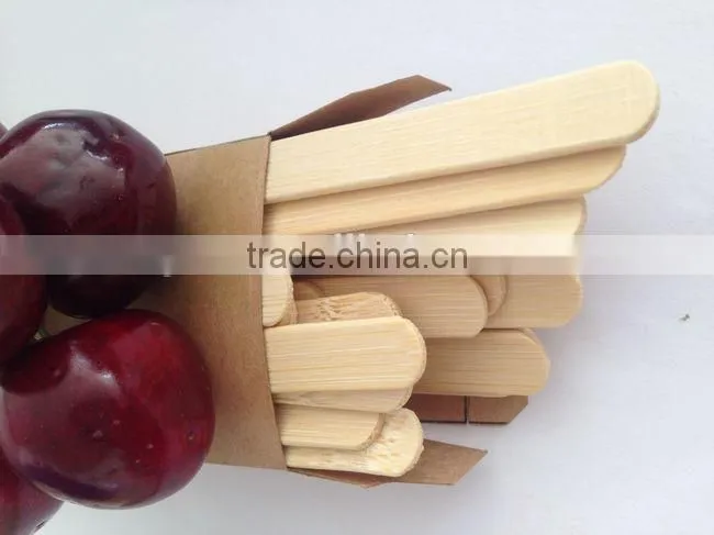 Plastic Popsicle Mold,Ice Cream Mold,Popsicle Stick