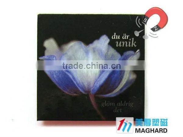 Wholesale china cheap iron photo fridge magnet for sale