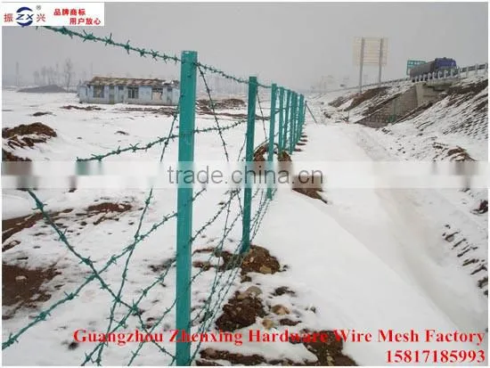 Hot promotion high quality PVC-coated barbed wire ZX-BSCS01