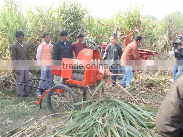 6BZ-5 sugarcane top removing machine/sugarcane leaf removing machine for sale