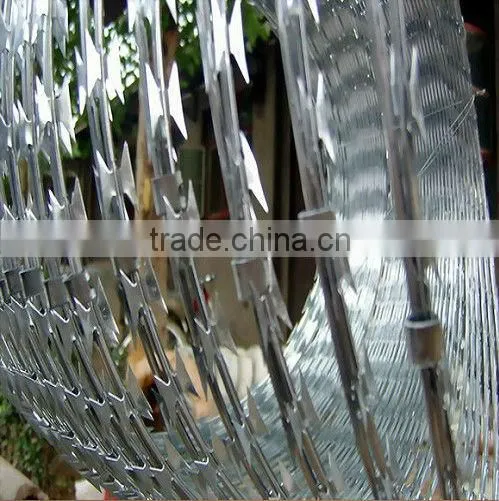High Security Stainless Steel barbed wire on sale
