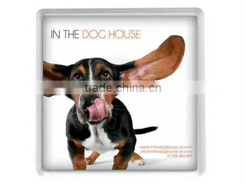 Paper Insert Acrylic Coasters