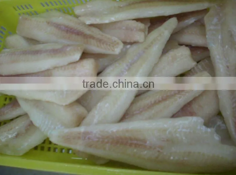 frozen alaska pollock fillet