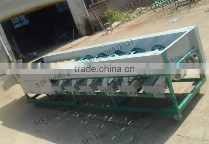 china factory machine wheat grading machine