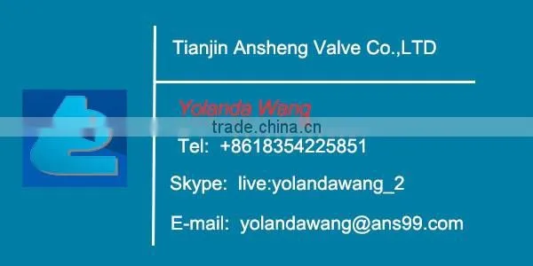 Sanitary Stainless steel Duplex filter