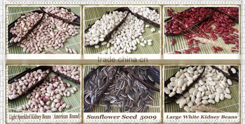 Yellow Soybean