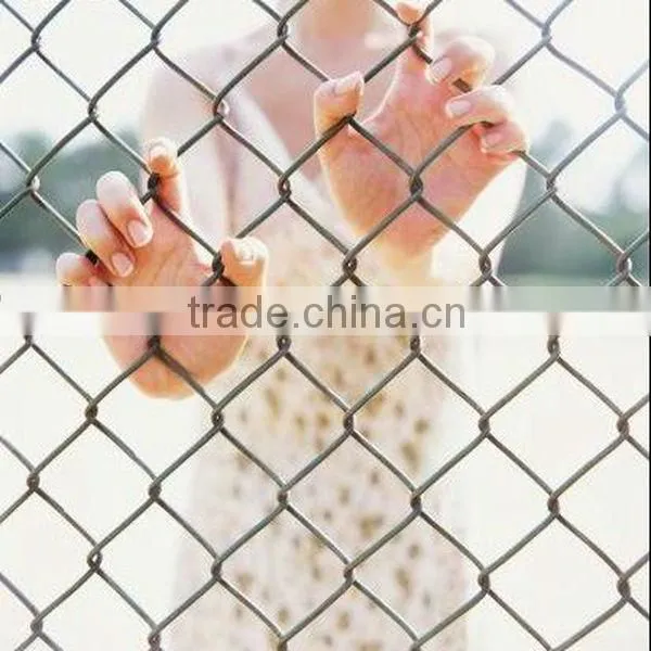 Anping Chain Link Fence Supplier