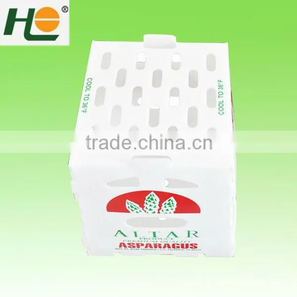 Recycled pp anti-static Industry Packaging Box