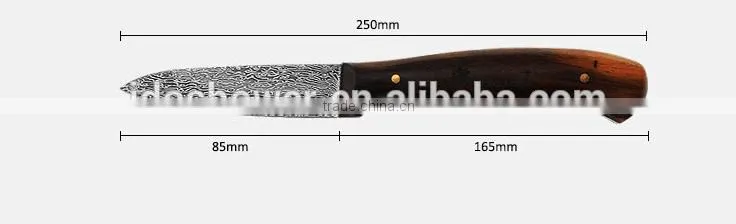 Hot damast vegetable knife, high quanlity knife kitchen japan