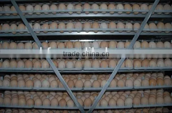 automatic egg hatcher incubator