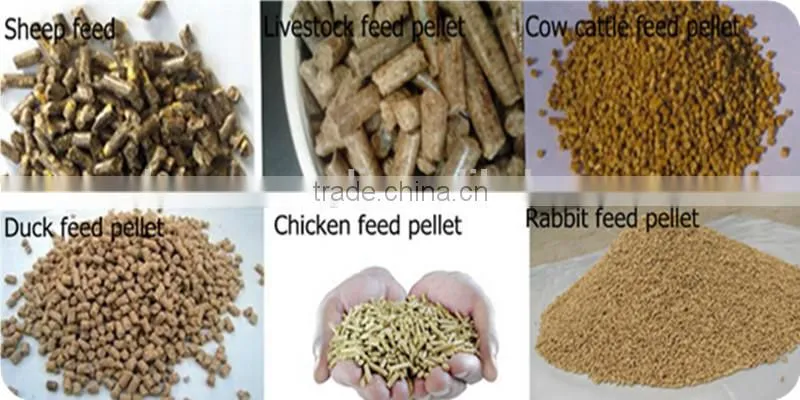 Factory Sale high quality chicken feather meal cp 85% poultry animal feed machine