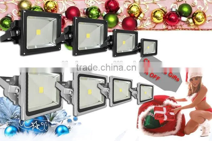 Float Fishing With Led 10W/20W/30W/50W Led Flood Light