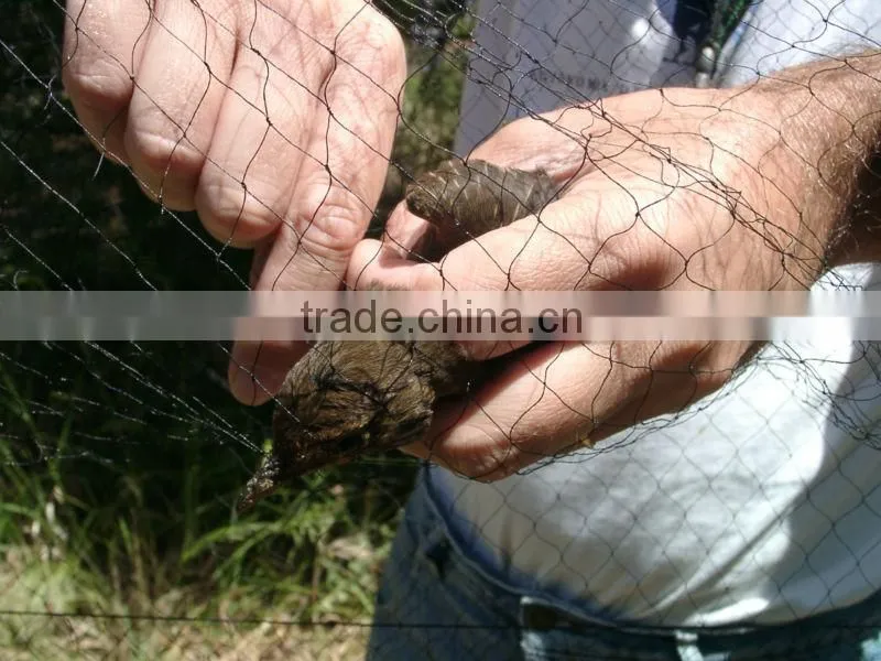nylon bird net, bird trapping net for catching net