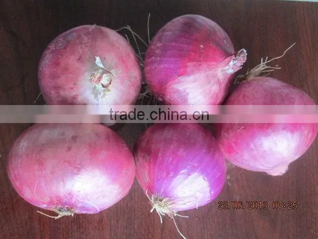 red small onion price