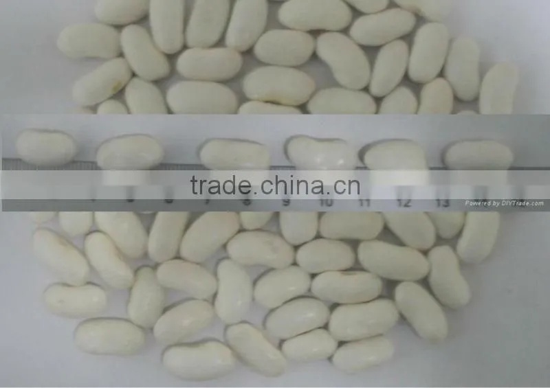 white kideny beans ( sizes 180-200 / 200-240/ 240-260)