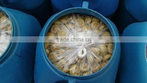 mushroom in brine(45kg/dram)