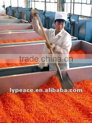 dehydrated ad carrot granules from china