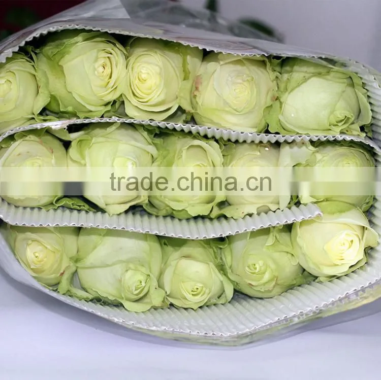Export roses fresh cut flowers from Kunming of China