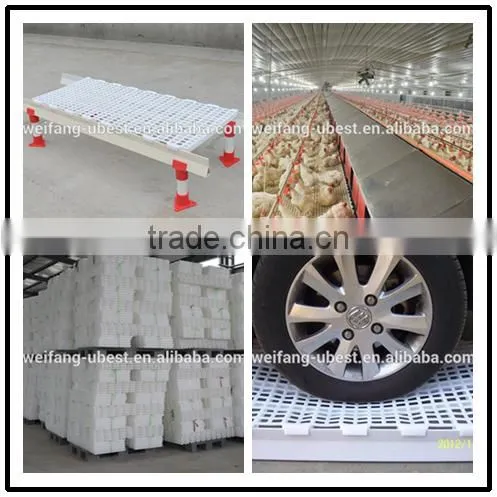 automatic rearing breeders chicken farm equipment
