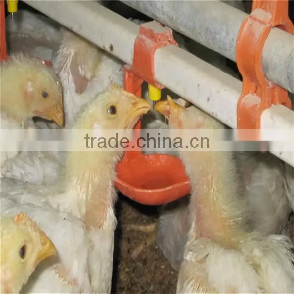 Automatic poultry feeder and drinker for chicken broiler