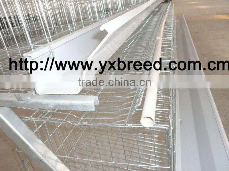 automatic chicken coop for hens