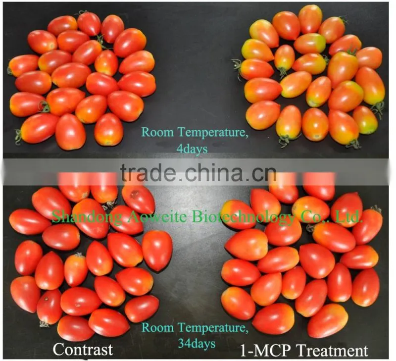 1-Methylcyclopropene slow down the ripening speed of fruits
