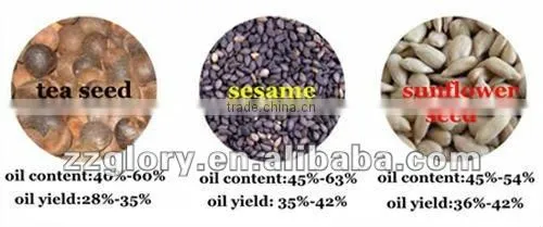 NEW TYPE! Home Oil press machine