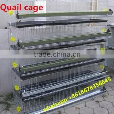 Bird cages quail battery cages quail cage