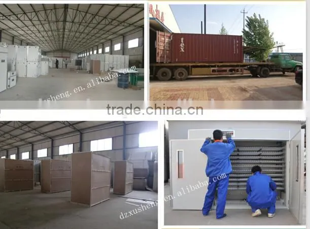XSB-2 3168pcs poultry egg incubator prices