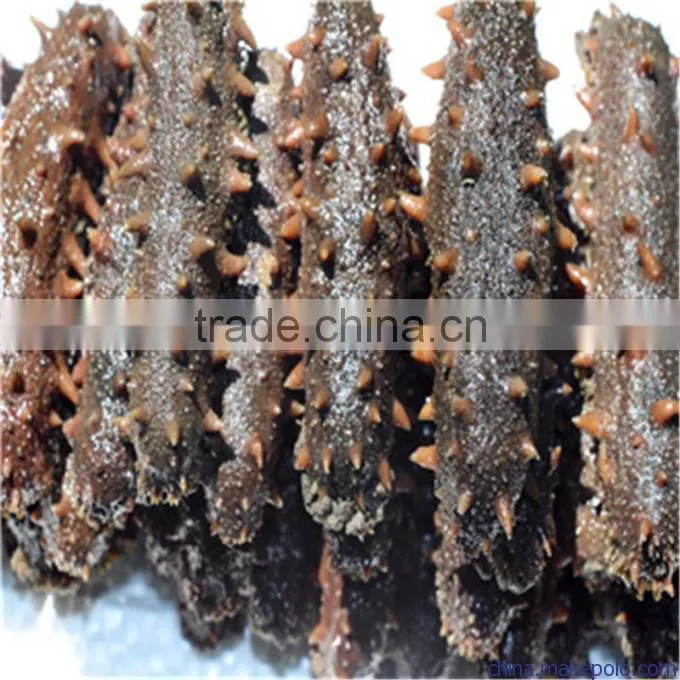 Liquid Nitrogen Fast Freeze Machine for Freezing Sea Cucumber