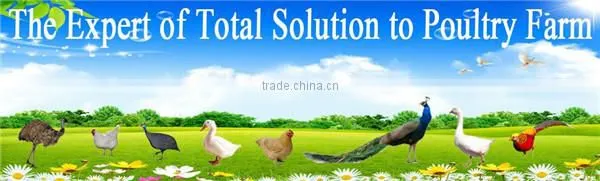 Poultry Slaughtering Equipment- Poultry Plucker