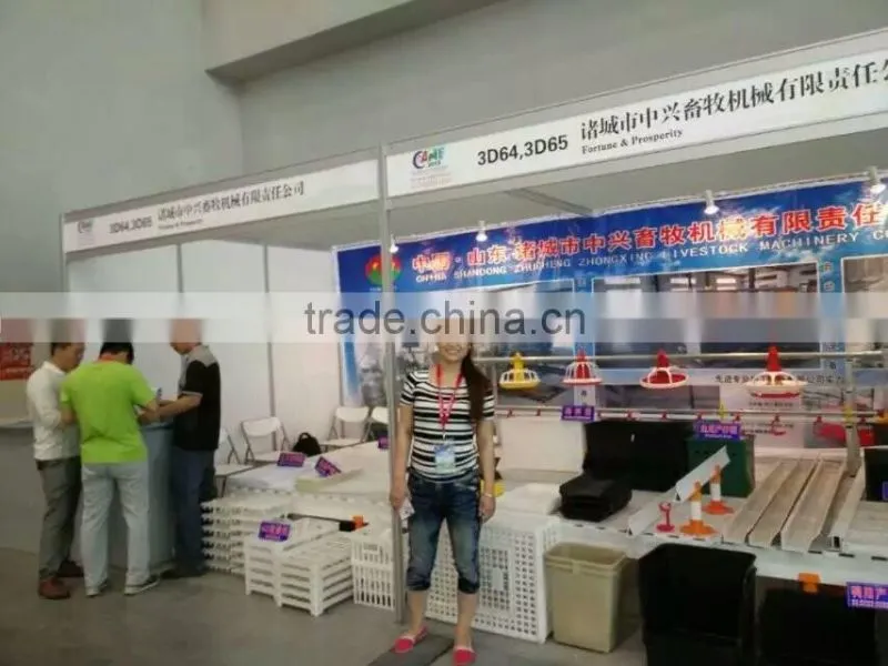 plastic chicken tranport stackable cage/box/crate for child chicken