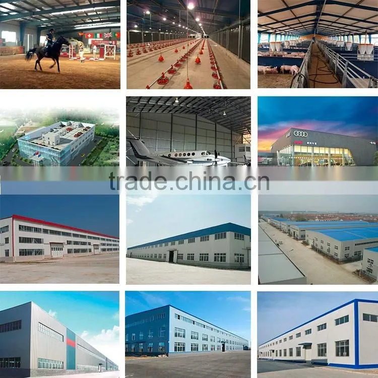 Low Cost Prefab Steel Chicken Shed Construction