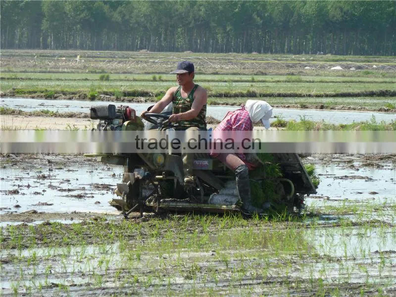 6rows paddy rice transplanter